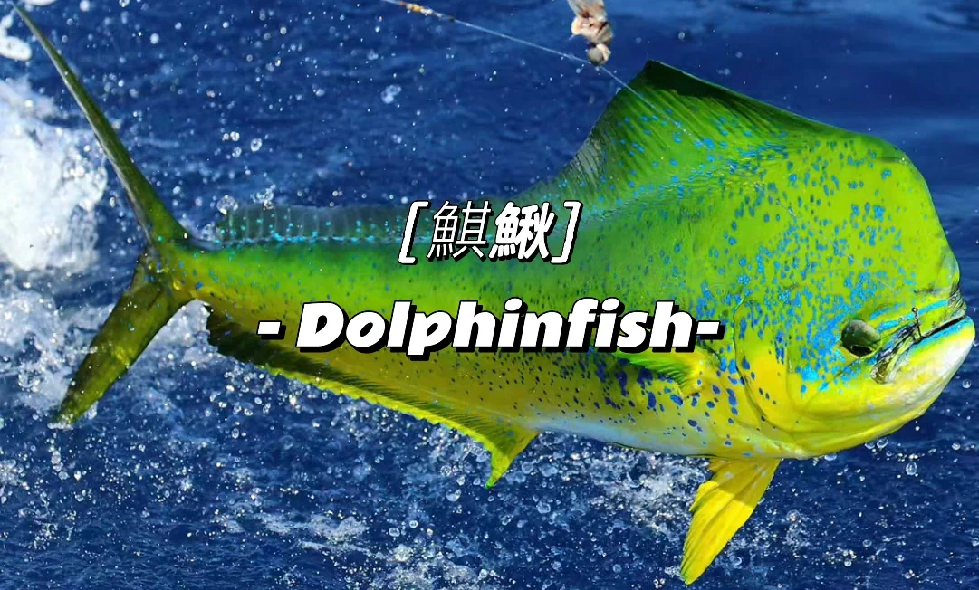 九游官方平台-沂(怮?e?